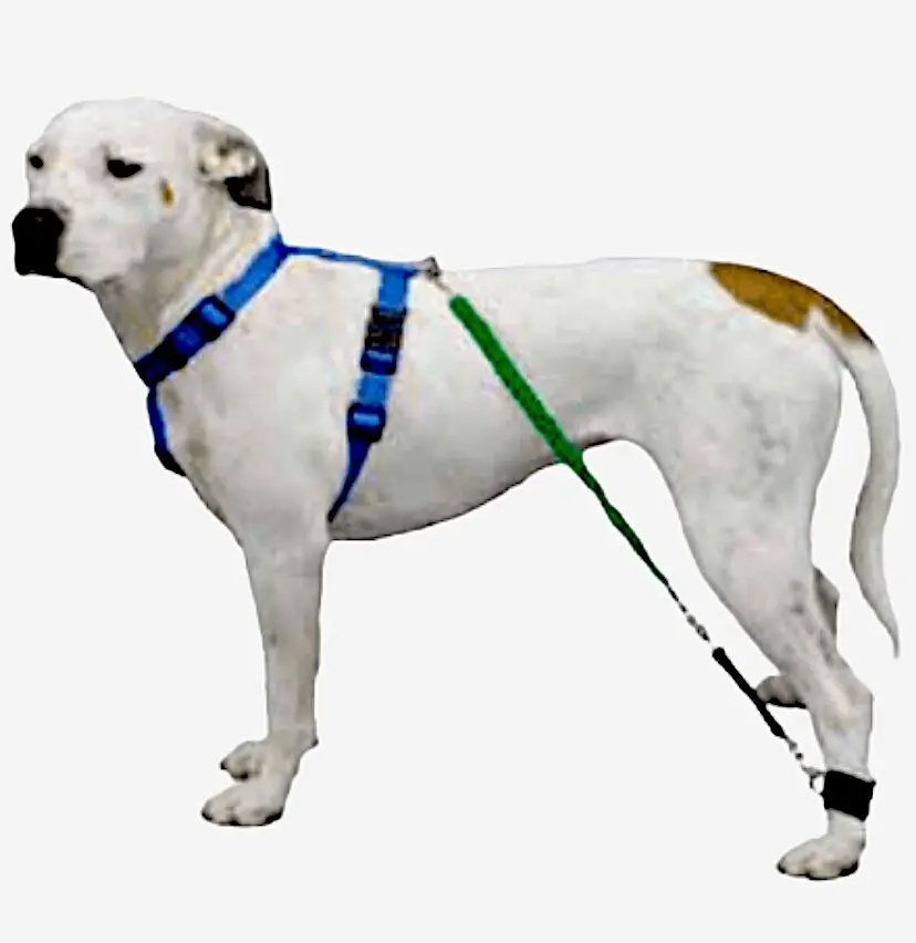 Biko Progressive Resistance Bands