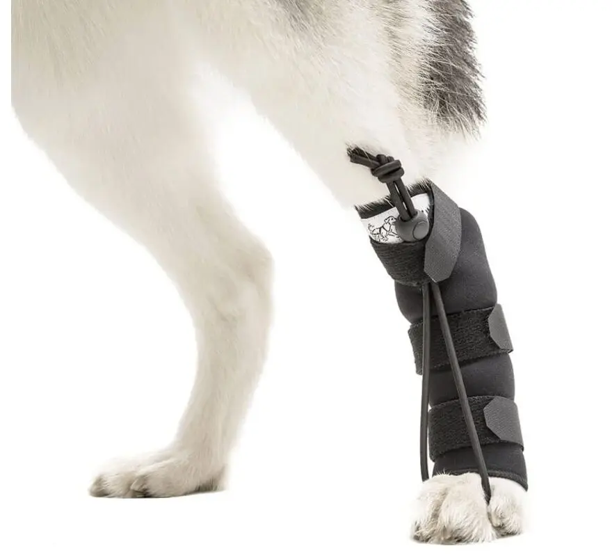 Walkin’ Pets Rear No-Knuckling Training Sock