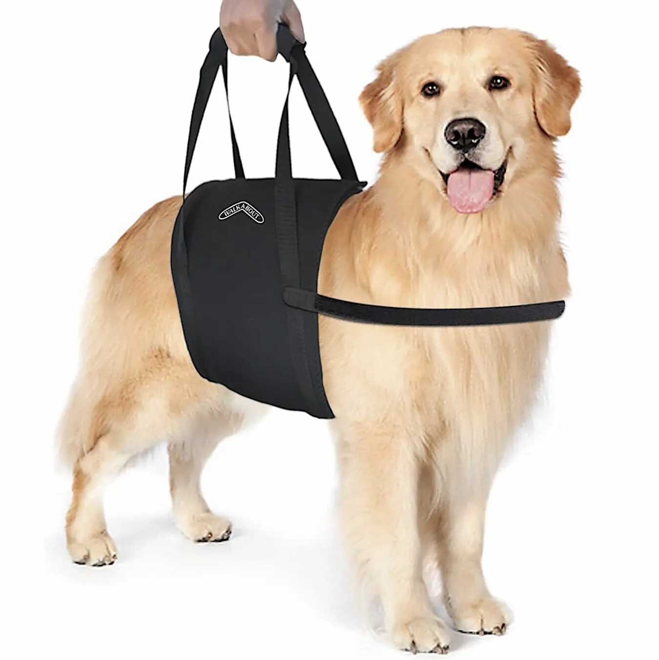 Walkabout Walkabelly