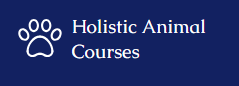 Holistic Animal Courses - Studies