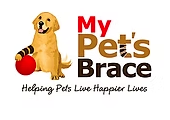 My Pet's Brace