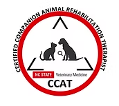 NC State CCAT