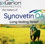 Synoventin OA