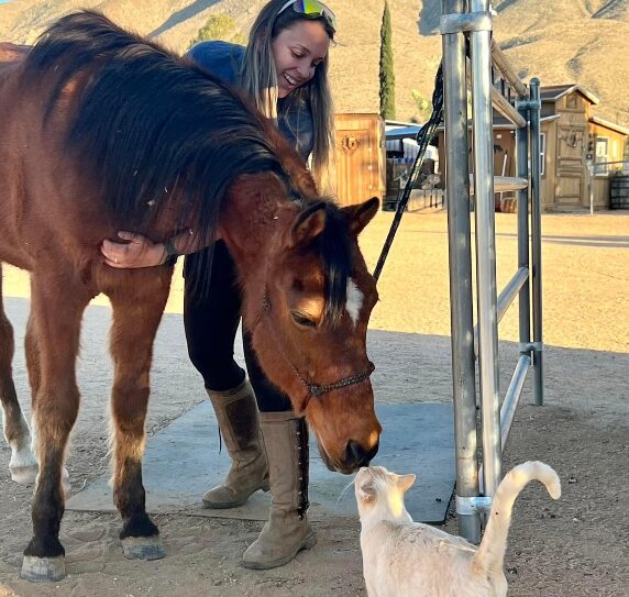 Animal Accupressure Certification