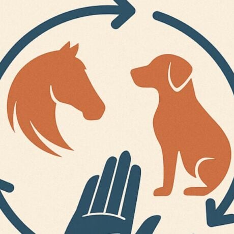 <strong>COURSE</strong> Professional Animal Bodywork Track