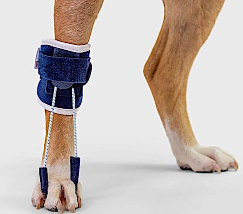 Pull (Knuckling Paw Brace)