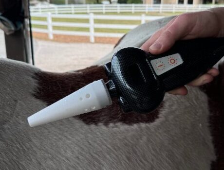 <strong>COURSE</strong> Certified Animal Cryotherapy: Equine & Small Animal Applications