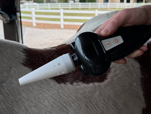 Cryotherapy Equine Small Animals