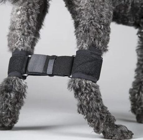 DOGLEGGS REAR LEG HOBBLE SYSTEM for Recovery and Rehab