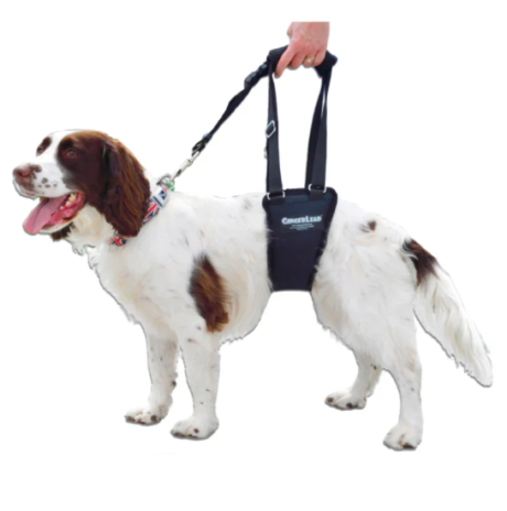 GINGERLEAD SUPPORT HARNESS: designed to help dogs recovering from knee, hip or back injuries, or dogs with weak hind legs