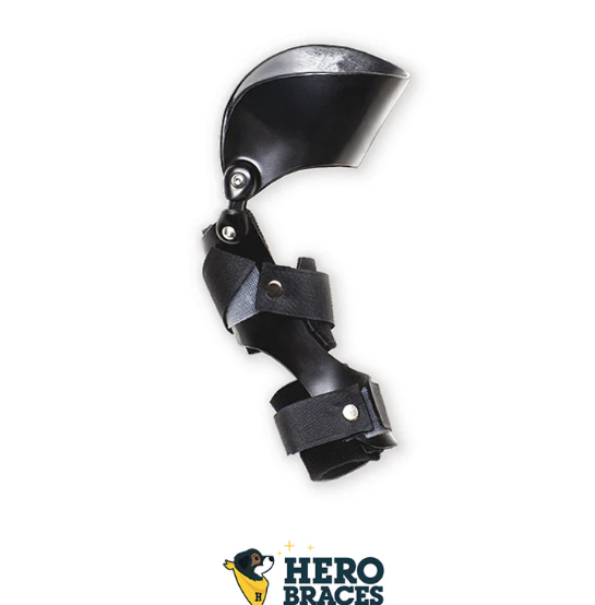 Hero Dog Stifle Brace