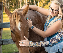 <strong>COURSE</strong> Horse Owner's Guide to Equine Massage