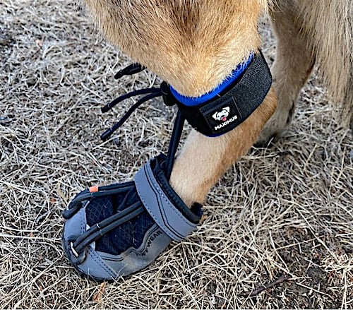 PawsUp / PawsUp SuperFlex