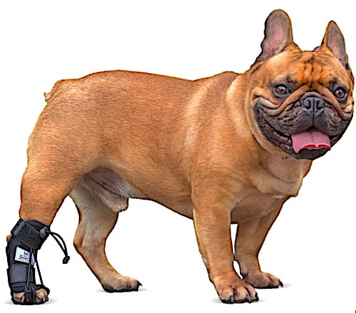No-Knuckling Training Sock