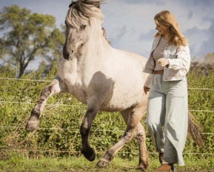 <strong>COURSE</strong> PNE Equine-Assisted Coach