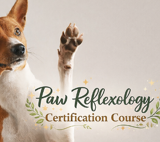 <strong>COURSE</strong> Paw Reflexology Certification Course