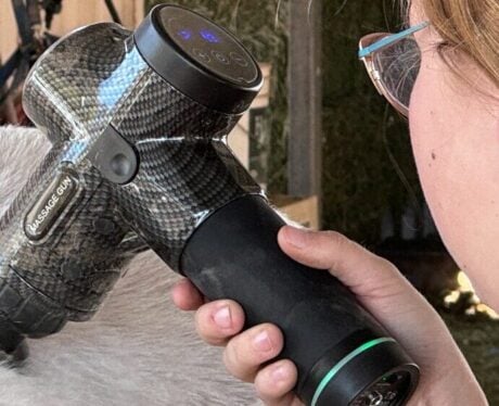 <strong>COURSE</strong> Percussion Therapy Using a Massage Gun