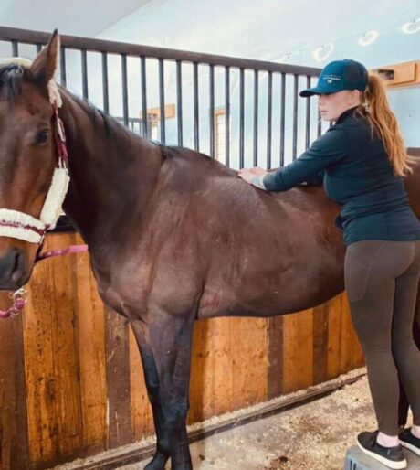 <strong>COURSE</strong> Rainbow Therapy Certification for Equine & Canine Clients