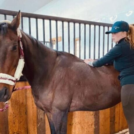 <strong>COURSE</strong> Rainbow Therapy Certification for Equine & Canine Clients