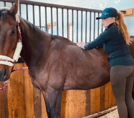 <strong>COURSE</strong> Equine Raindrop Therapy for Owners