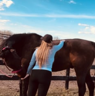 <strong>COURSE</strong> Regulation & Release of the Equine Nervous System