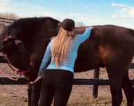 <strong>COURSE</strong> Regulation & Release of the Equine Nervous System