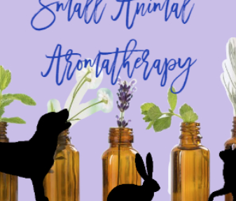 <strong>COURSE</strong> Small Animal Aromatherapy for Owners