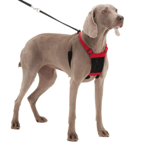 SPORN NON-PULL HARNESS: Stops the hardest pullers instantly; offers total control, style & comfort for your dog