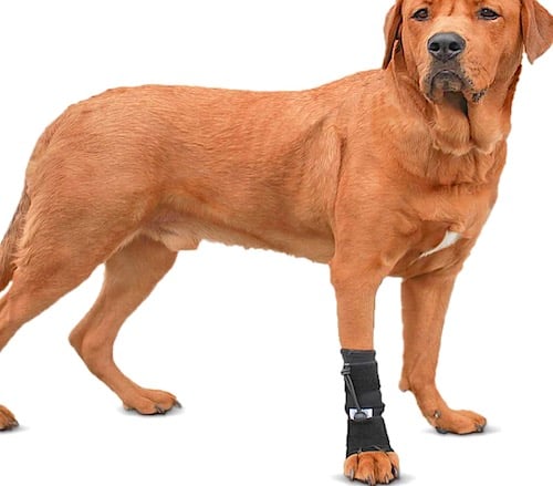 Front No-Knuckling Training Sock