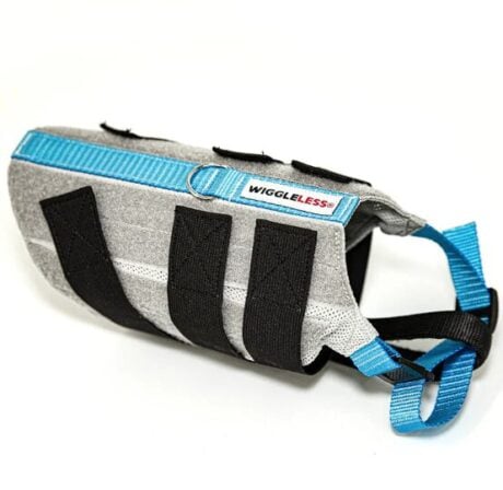 WIGGLELESS BACK BRACE: stabilizes the spine for IVDD and DM patients, adjustable