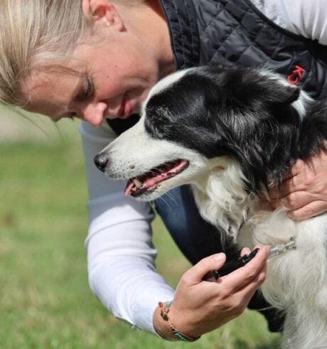 <strong>COURSE</strong> Animal Neuro-Myofascial Release Technique