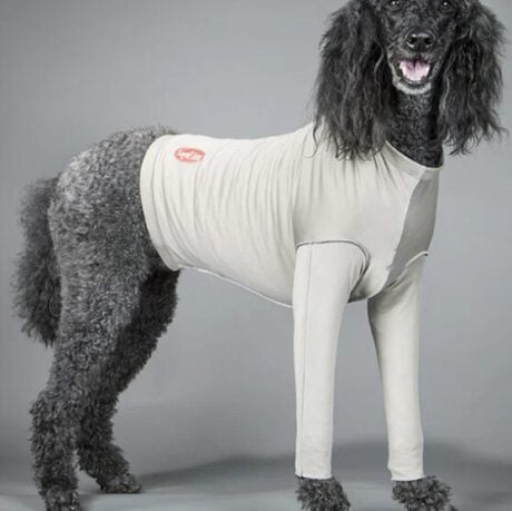 Surg-Sox Torso + Forelimbs: provides coverage, protection and compression (DogLeggs)