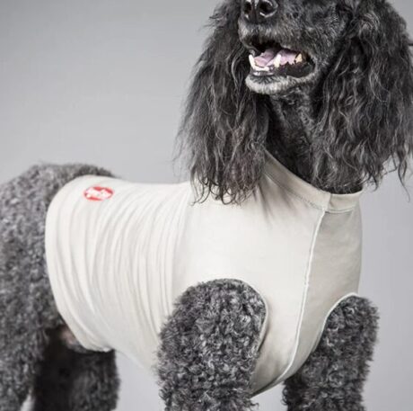 Surgi-Sox Torso: provides coverage, protection, and compression (DogLeggs)