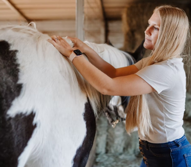 <strong>COURSE</strong> Advanced Myofascial Release for Animals Certification